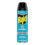 Raid | Ant Killer Spray 17.5oz - Image 4