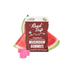 Road Trip | Amanita Muscaria Mushroom Gummies - 14,000MG - 4CT - Image 2