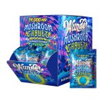 Wunder | MAXX Entheogenic Mushroom Tablets | 1ct - Image 2
